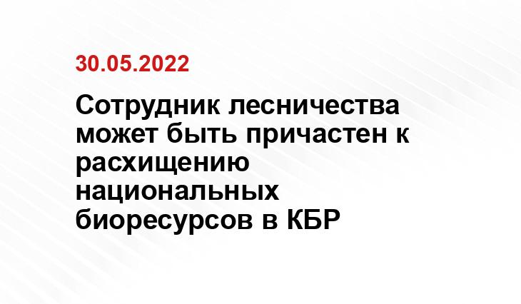 yandex.ru