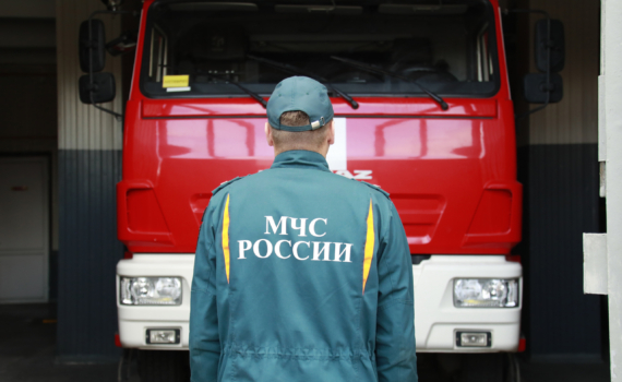 Необычный инцидент в центре Москвы: курьер застрял на дереве