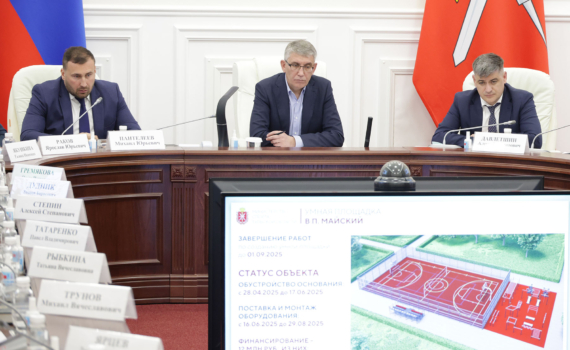 Соцпартнеры помогут с установкой в тульском регионе инклюзивных спортплощадок