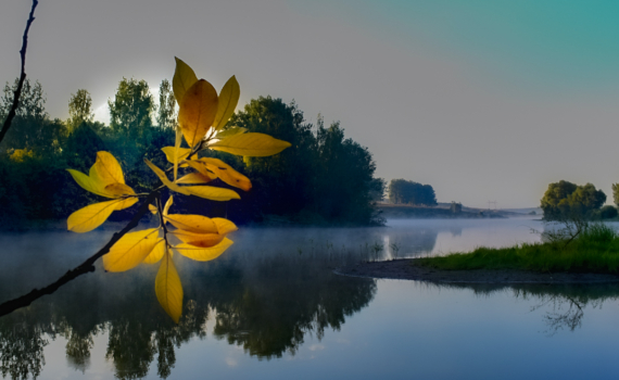 Тяжёлый понедельник: что можно и нельзя делать 17 ноября 2025 года в последний день лунного цикла Тяжёлый понедельник: что можно и нельзя делать 17 ноября 2025 года в последний день лунного цикла