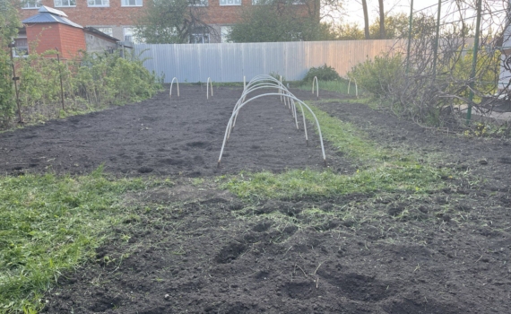 Ноябрь – не конец сезона, а начало зимней зелени: что сеять в холод Ноябрь – не конец сезона, а начало зимней зелени: что сеять в холод