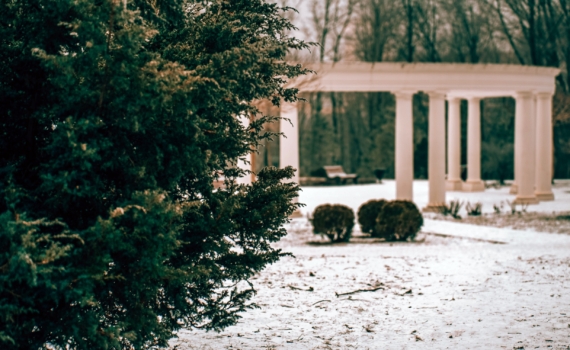 22 ноября отмечаем праздники психолога, сыновей, приемной семьи в Ульяновской области и не только