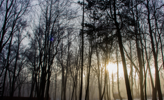 Магия Растущей Луны: что можно и нельзя 22 ноября 2025 года — как привлечь деньги и карьеру