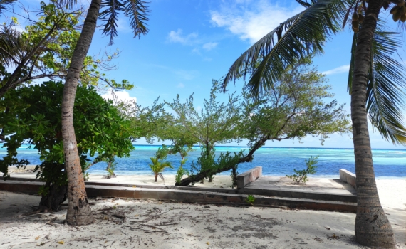 Ясинский: Пиночетисты вновь могут прийти к власти в Чили Ясинский: Пиночетисты вновь могут прийти к власти в Чили